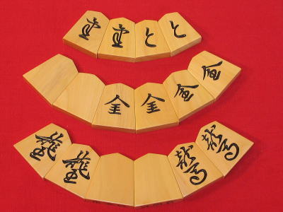 ryuzanpak 0611.jpg